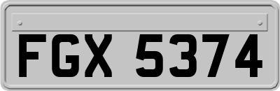 FGX5374