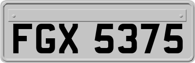 FGX5375