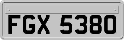 FGX5380