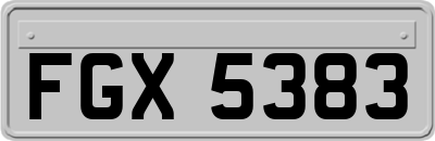 FGX5383