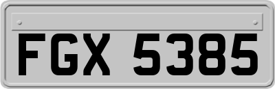 FGX5385