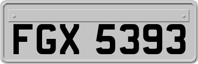 FGX5393