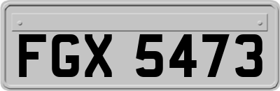 FGX5473