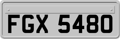 FGX5480
