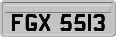 FGX5513