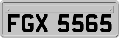 FGX5565