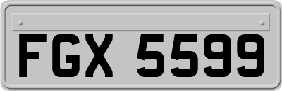 FGX5599