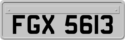 FGX5613