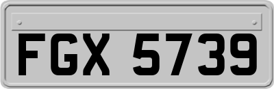 FGX5739