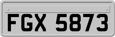 FGX5873
