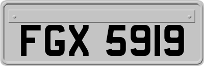 FGX5919