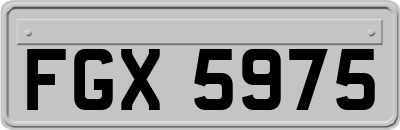FGX5975