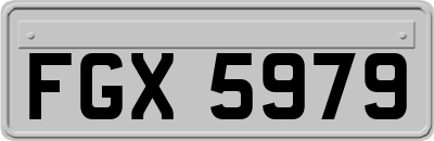 FGX5979
