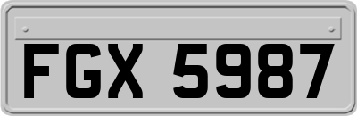 FGX5987