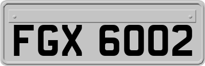 FGX6002