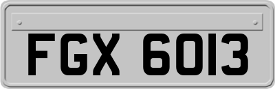 FGX6013