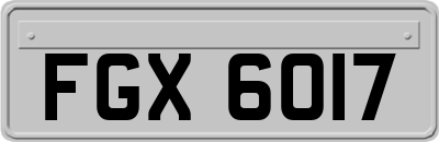 FGX6017