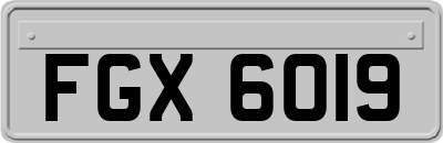 FGX6019