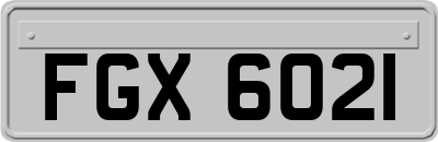 FGX6021