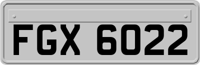 FGX6022