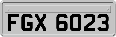 FGX6023