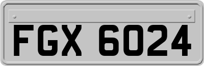 FGX6024
