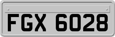 FGX6028