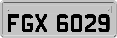 FGX6029