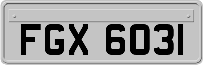 FGX6031