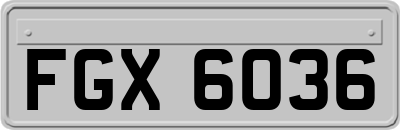 FGX6036