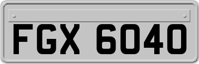 FGX6040