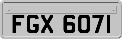 FGX6071
