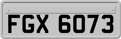 FGX6073