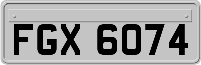 FGX6074