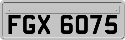 FGX6075