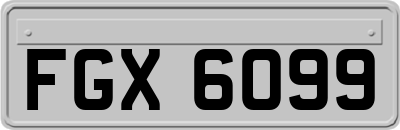 FGX6099