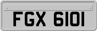 FGX6101
