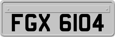 FGX6104