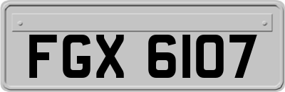 FGX6107