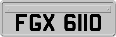 FGX6110