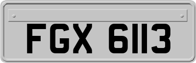 FGX6113