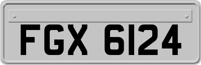 FGX6124