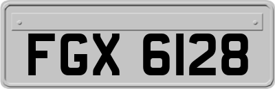 FGX6128