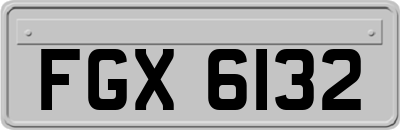 FGX6132
