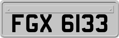 FGX6133