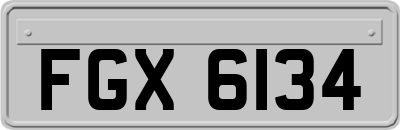 FGX6134