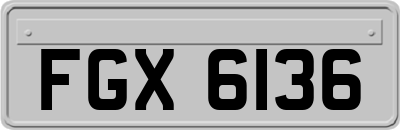 FGX6136