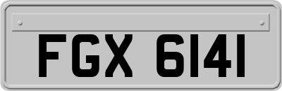 FGX6141