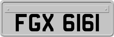 FGX6161