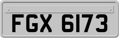 FGX6173